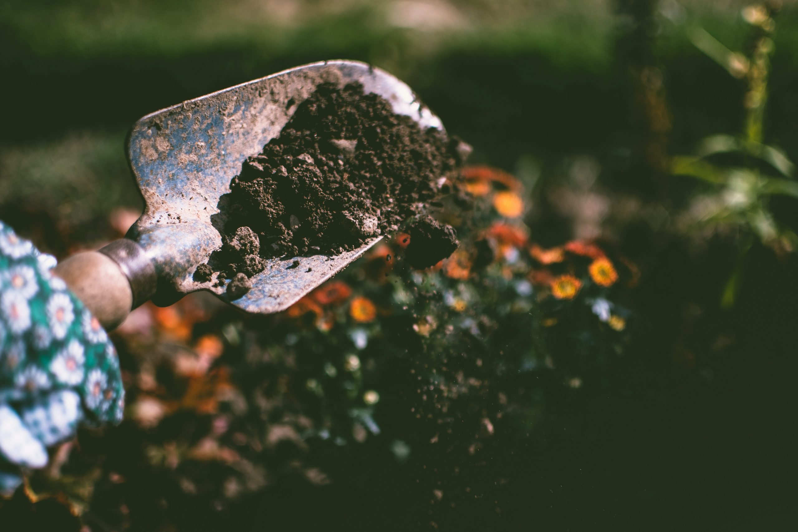 Without nutrients, you will harvest bitter vegetables.