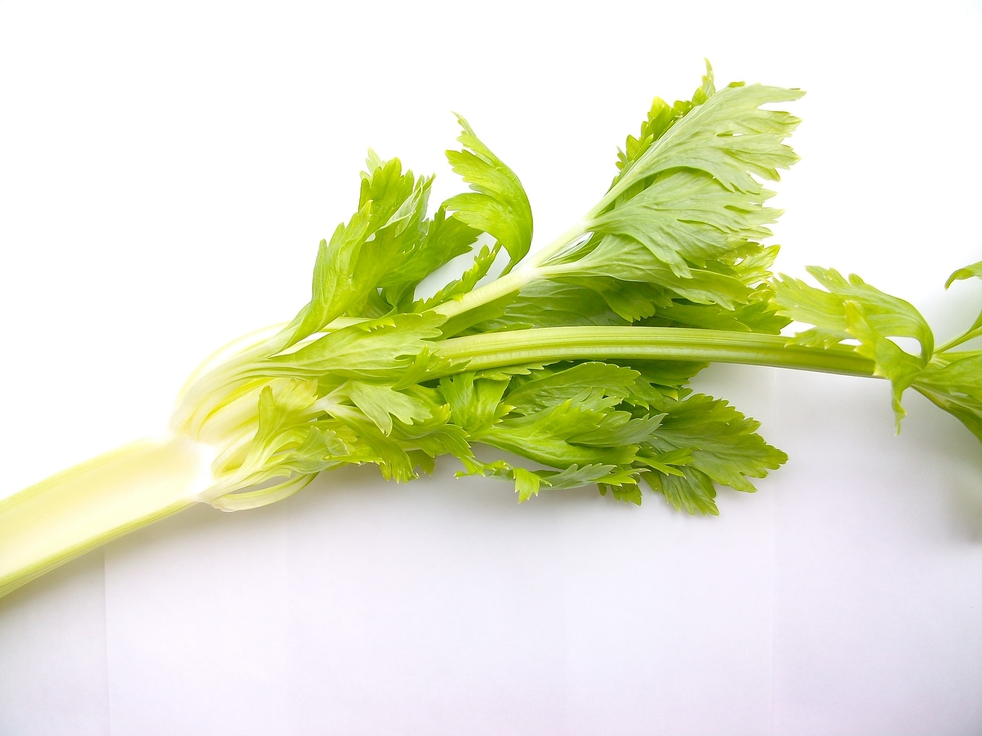 Recipes require leaves and stalks. Don't just throw the bottom of the bunch.