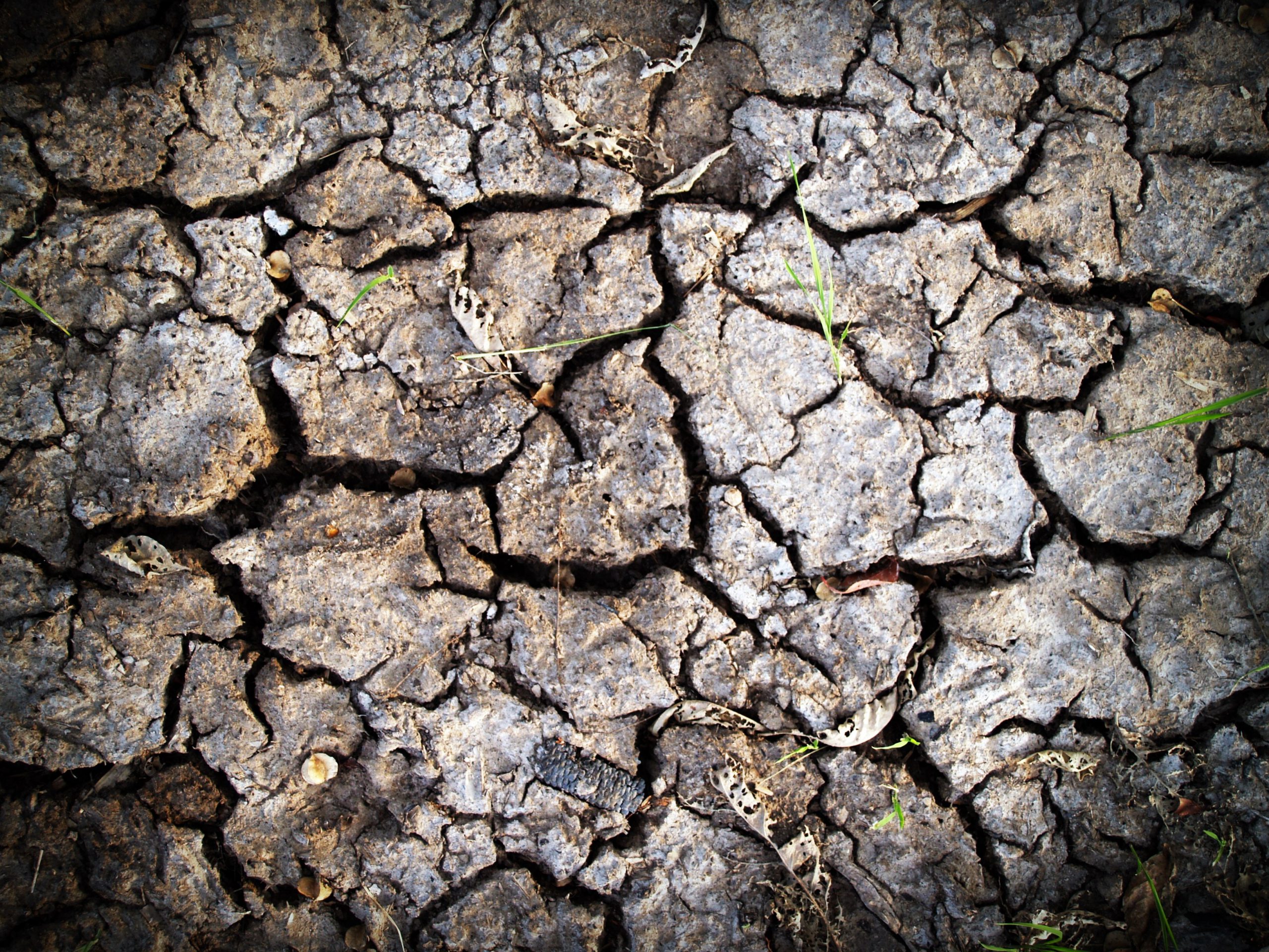 cracked ground