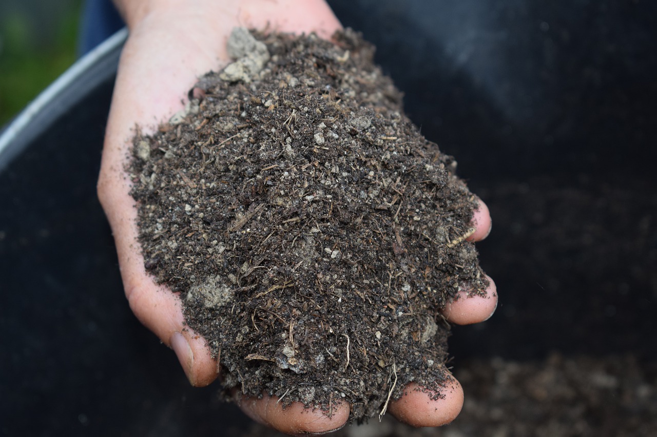 full of mulch in hand