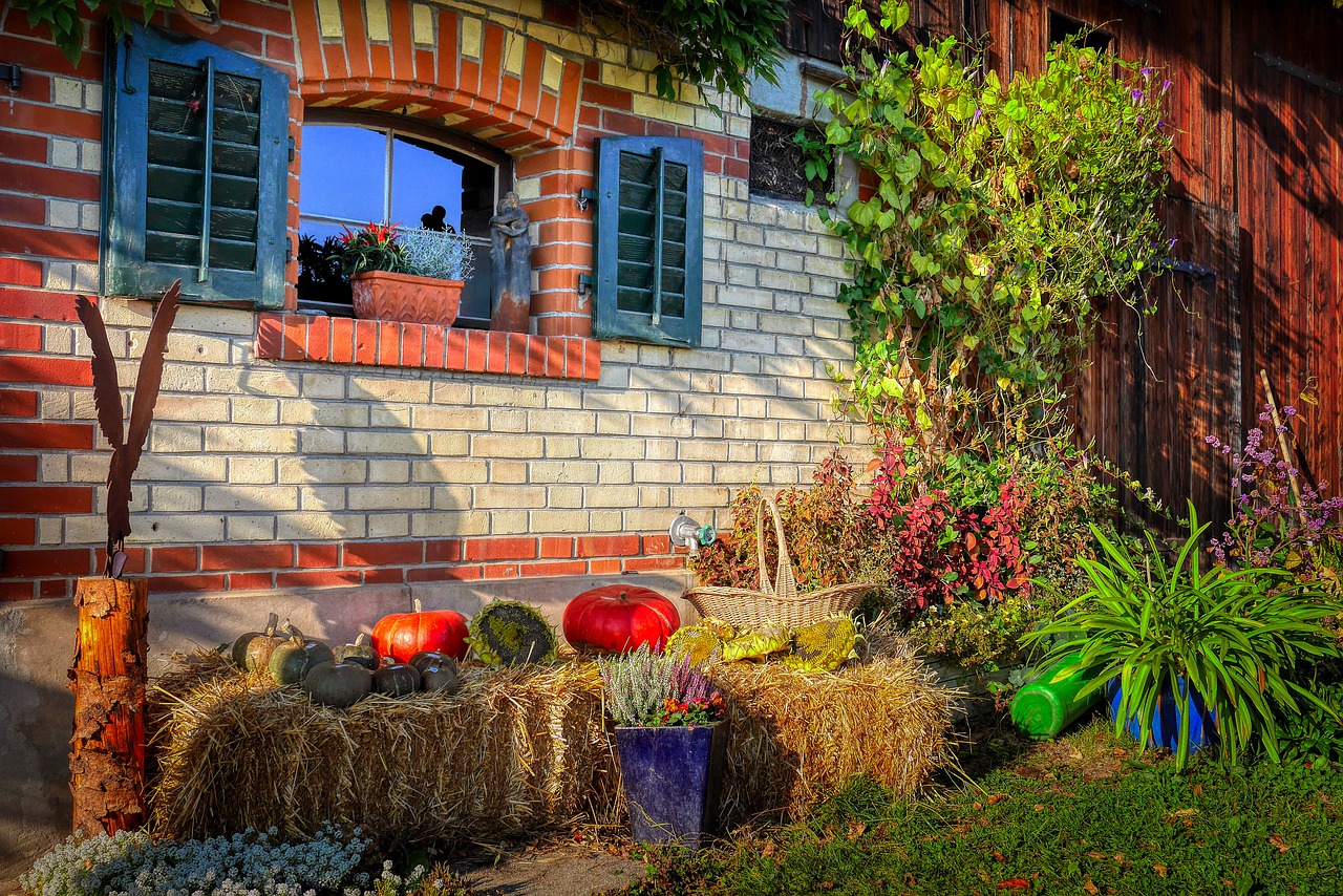 vibrant backyard with lots of perennial veggies