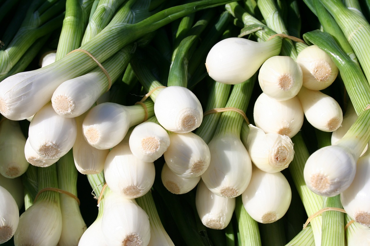 bundle of onions