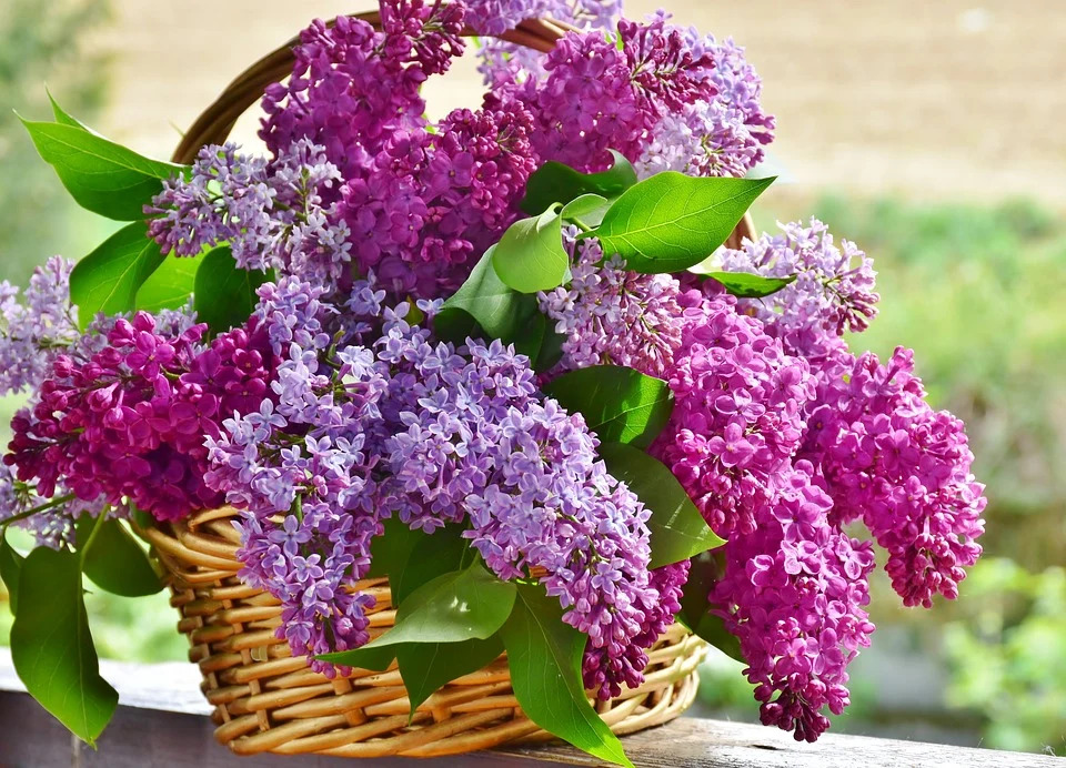 basket of florals