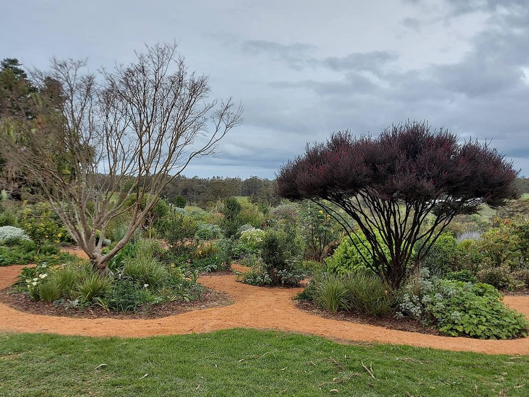 landscape garden with sawdust on walkway