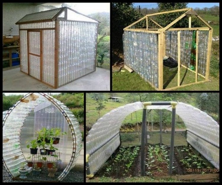 DIY Greenhouse A Complete Guide To Make Your Own Mini Greenhouse