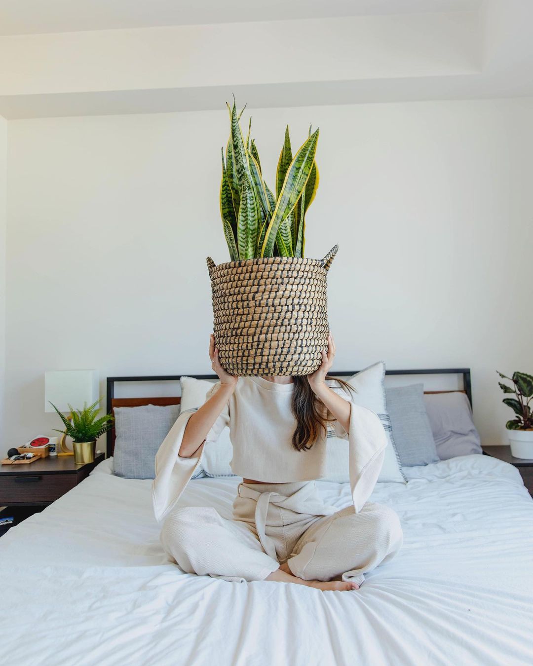 woman with snake plant sitting on bed
