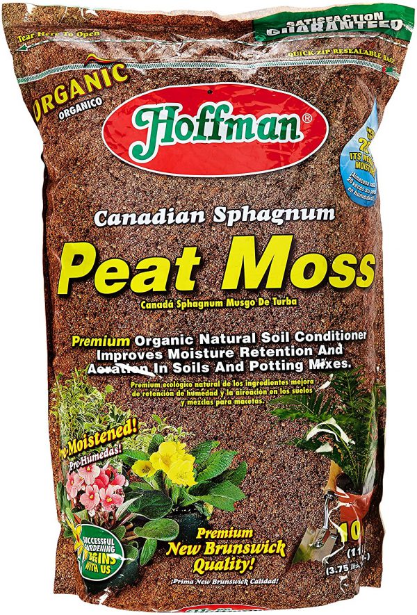 Peat Moss vs. Sphagnum Moss Are they the same? Plants Spark Joy